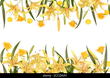 Bellissimi fiori di giglio gialli isolati su sfondo bianco. Foto ad alta risoluzione. Profondità di campo completa Foto Stock