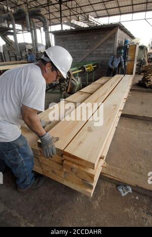 Orange, TX 10 novembre 2006: Il dipendente di Rogers Lumber Co. Indossa un elmetto e occhiali di protezione sul pavimento del mulino. L'azienda elabora legname di pino in tavole da taglio per l'industria edile commerciale. ©Bob Daemmrich Foto Stock