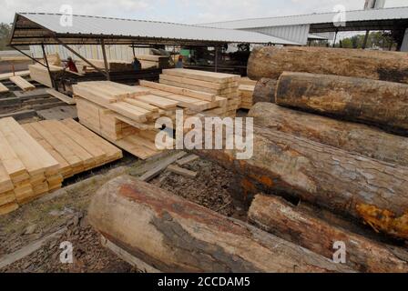 Orange, TX USA, 10 novembre 2006: Legname grezzo e finito alla Rogers Lumber Company. Rogers Lumber Co. Elabora legname di pino in tavole da taglio grezzo per le industrie di costruzione e di autocarro. ©Bob Daemmrich Foto Stock