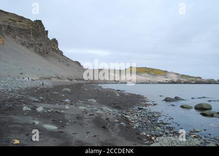 Hannah Point è un punto sulla costa meridionale dell'isola di Livingston, nelle Isole Shetland meridionali, in Antartide. Ecco i pinguini gentoo e maccheroni. Foto Stock