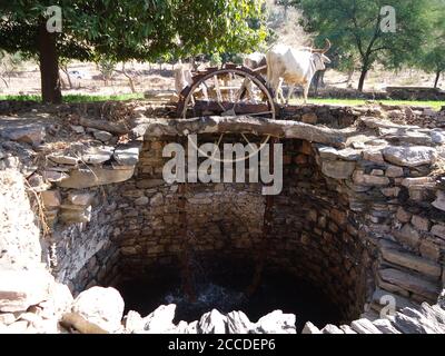 Metodi di irrigazione in rajasthan e gujarat, India Foto Stock