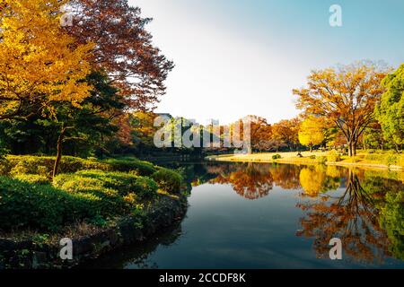 Scenario autunnale del Kitanomaru Garden Park a Tokyo, Giappone Foto Stock