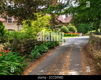 Crocosmia fiori sul lato della strada lungo la città Strada nel villaggio di Nidd vicino Harrogate North Yorkshire Inghilterra Foto Stock