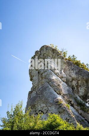 Formazioni calcaree vicino alle rovine del 14 ° secolo del Castello di Mirow in Polonia. Un edificio medievale in pietra monumentale si trova su una collina, circondato da formazioni rocciose Foto Stock