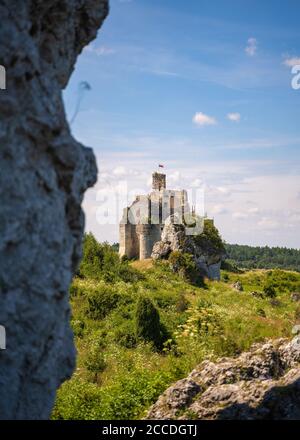 Rovine del 14 ° secolo del Castello di Mirow in Polonia. Un edificio medievale in pietra monumentale si trova su una collina, circondato da formazioni rocciose calcaree. Foto Stock