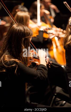 violinista di bruna femminile irriconoscibile che suona in un'orchestra professionale. Profondità di campo poco profonda. Foto Stock