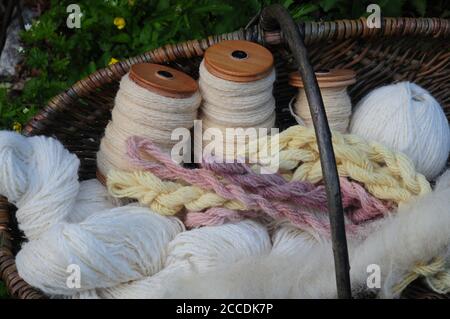 Un cesto di lana filata e tinta naturalmente, con un rolag di pile di Pickwick crudo pronto per la filatura in primo piano. Foto Stock