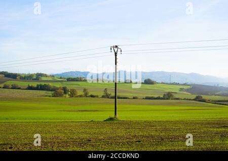 Prato e campo intorno Brusperk, Moravia, Repubblica Ceca - bella campagna con erba verde e alberi. Montagne Beskid in lontananza. Elettr Foto Stock