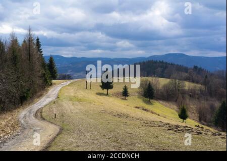 Sentiero turistico e prati nella natura, vicino alla collina di Filipka, Beskids Silesiani, Carpazi Occidentali, Europa. Splendido scenario di montagne nel beginn Foto Stock
