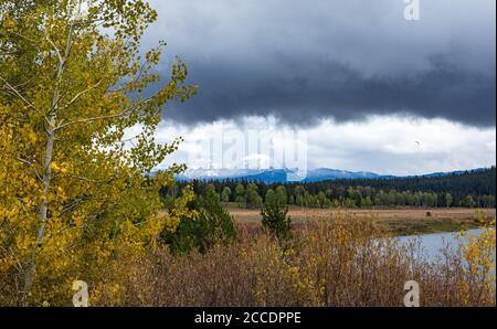 Una tempesta di mattina presto che si radura sulle montagne di Teton durante Autunno nel Grand Teton National Park Foto Stock