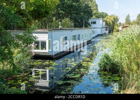 Case galleggianti sul canale di Chichester vicino a Chichester Marina, West Sussex, Regno Unito, durante l'estate Foto Stock