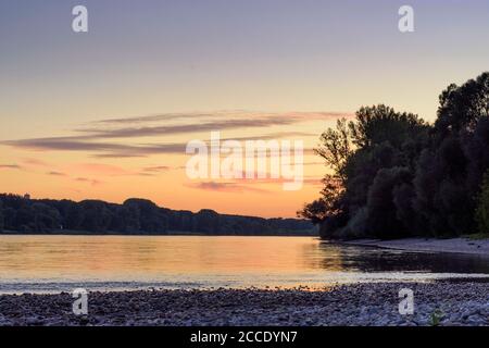 Nationalpark Donauauen, Parco Nazionale del Danubio-Auen, fiume Donau (Danubio), Austria, bassa Austria, Donau Foto Stock