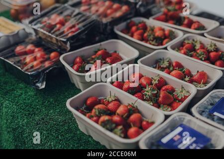 File di punzoni con fragole fresche in vendita in un mercato locale nelle Cotswolds, Regno Unito. Foto Stock