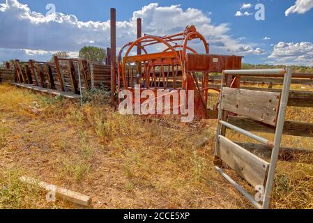 Un cortale di bestiame dimenticato nella Prescott National Forest ad est di Paulden Arizona. La zona è un terreno federale accessibile al pubblico. Nessun rilascio di proprietà i Foto Stock