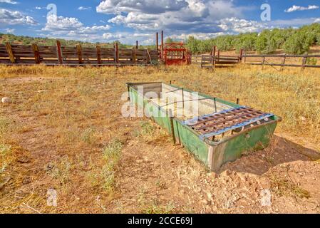 Un cortale di bestiame dimenticato nella Prescott National Forest ad est di Paulden Arizona. La zona è un terreno federale accessibile al pubblico. Nessun rilascio di proprietà i Foto Stock