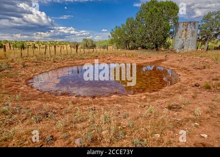 Un laghetto d'acqua in un Corral di bestiame dimenticato nella Prescott National Forest ad est di Paulden Arizona. La zona è un terreno federale accessibile al pubblico. No Foto Stock