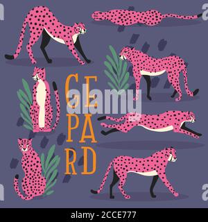 Collezione di graziosi ghepardi rosa disegnati a mano su sfondo viola scuro, in piedi, stretching, corsa e camminare con piante esotiche e lettere a mano Illustrazione Vettoriale