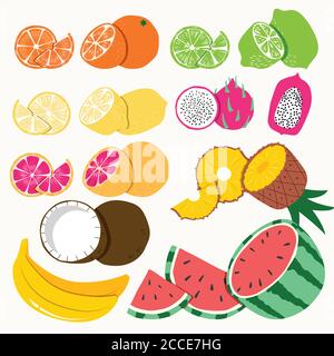 Raccolta di frutti tropicali esotici, isolati su sfondo bianco. Illustrazione vettoriale piatta colorata Illustrazione Vettoriale