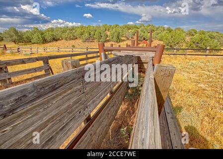 Uno scivolo di carico che porta ad un dispositivo per trattenere le mucche in un Corral di bestiame dimenticato nella Prescott National Forest ad est di Paulden Arizona. Le sono Foto Stock