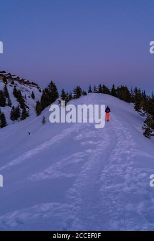 Europa, Svizzera, Vallese, Belalp, giovane donna sale su una cresta innevata e gode del tramonto su Belalp Foto Stock