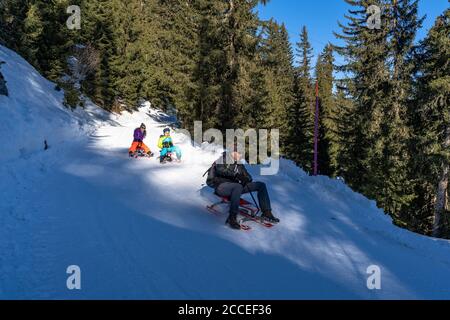 Europa, Svizzera, Vallese, Belalp, famiglia sul toboggan pista da Belalp a Blatten Foto Stock