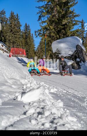 Europa, Svizzera, Vallese, Belalp, famiglia sul toboggan pista da Belalp a Blatten Foto Stock