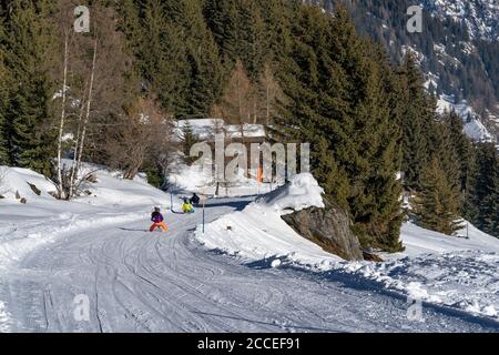 Europa, Svizzera, Vallese, Belalp, famiglia che scende su un toboga attraverso la foresta leggera di montagna in Vallese Foto Stock