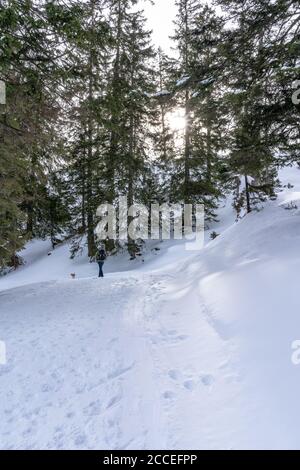 Europa, Austria, Alpi Berchtesgaden, Salisburgo, Werfen, Ostpreussenhütte, escursionisti nella foresta di montagna dell'enca Foto Stock