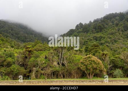 Una giornata di nebbia nel Marlborough Sounds, Isola del Sud, Nuova Zelanda Foto Stock