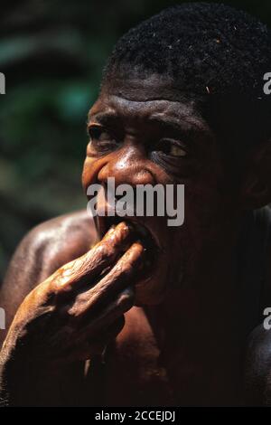 Tribù dei Pigmy nella riserva forestale di Dzanga-Sanha, Repubblica Centrafricana Foto Stock