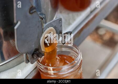 Vaso in vetro con pinta ripieno di miele, raccolto da Peach Blossoms, Maryhill, Columbia River Gorge, Washington. Foto Stock