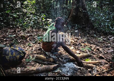 Tribù dei Pigmy nella riserva forestale di Dzanga-Sanha, Repubblica Centrafricana Foto Stock
