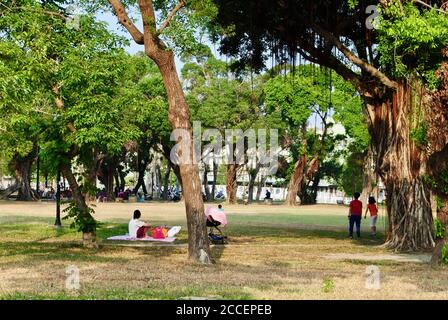 Madre si siede sull'erba con la carrozza del bambino pacificamente in un parco della città. Kaohsiung Taiwan Foto Stock