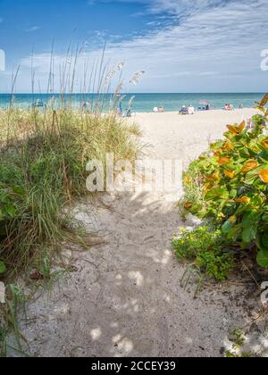 Percorso per Manasota Beach sul Golfo del Messico Manasota Key in Englewood Florida Stati Uniti Foto Stock