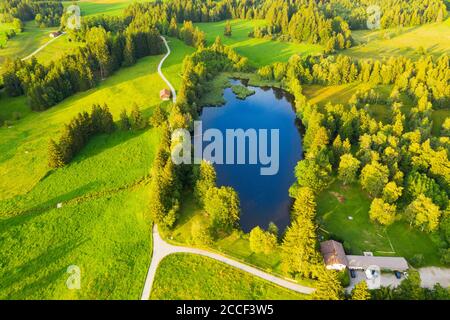 Schönauer Weiher vicino a Bad Heilbrunn, Tölzer Terra, vista aerea, alta Baviera, Baviera, Germania Foto Stock