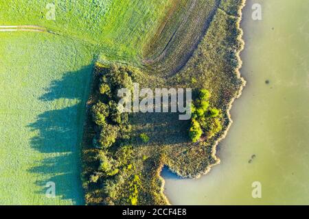 Prato e cintura di canna sulla riva del lago, Harmatinger Weiher, vicino Egling, Tölzer Land, vista aerea, alta Baviera, Baviera, Germania Foto Stock
