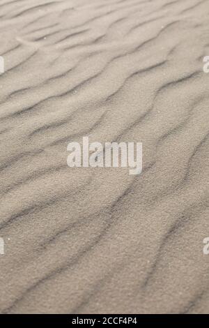 vento fatto modello nella sabbia Foto Stock