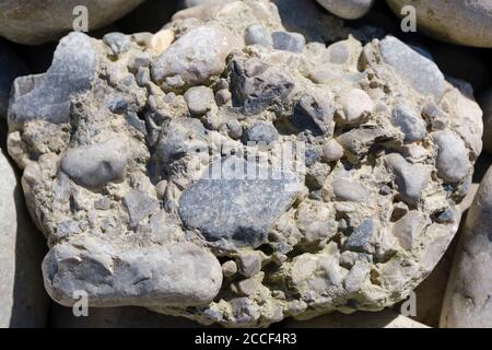 Conglomerato o Nagelfluh su ghiaia a Isarauen, vicino Geretsried, alta Baviera, Baviera, Germania Foto Stock