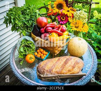 La terza settimana di agosto quota agricola da una Comunità Vermont sostenuto Agricoltura (CSA) : locale, cibo stagionale direttamente da una fattoria Foto Stock