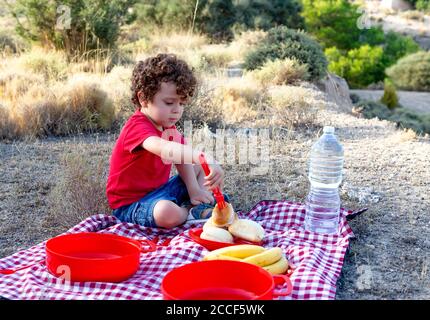 ragazzo al pic-nic che offre un panino con una forchetta rossa, tovaglia a scacchi rossi e neri e piatti riutilizzabili, Foto Stock