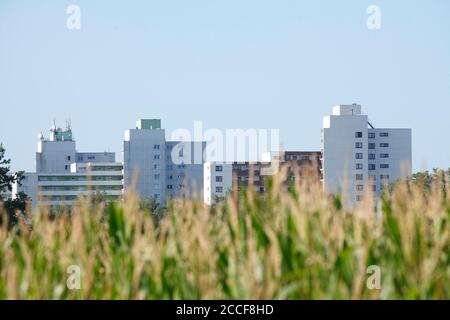 Campi e grattacieli, Osterholz-Tenever, Brema, Germania, Europa Foto Stock