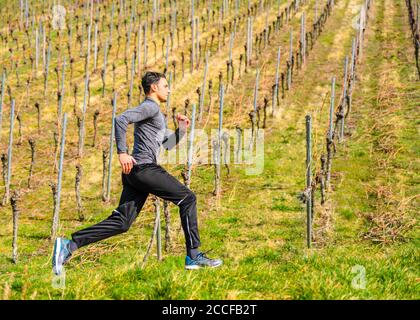 Uomo, 21 anni, jogging a Kappelberg, Remstal, Baden-Württemberg, Germania Foto Stock