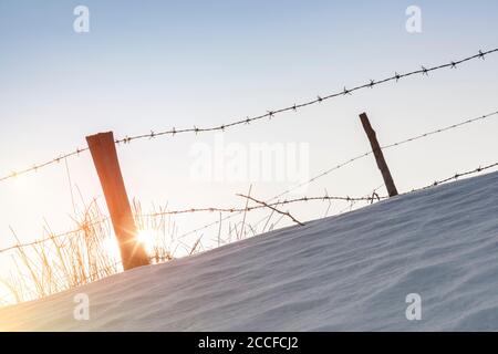 Recinzione con filo spinato, Prealpi Veneziane, Lentiai, Belluno, Veneto,  Italia Foto stock - Alamy