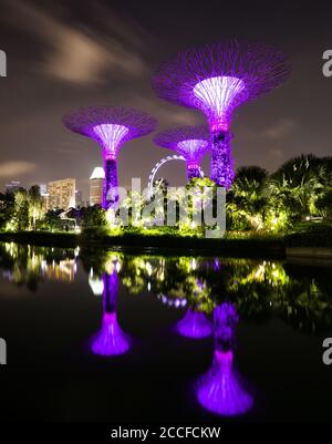 Singapore, Gardens by the Bay Foto Stock