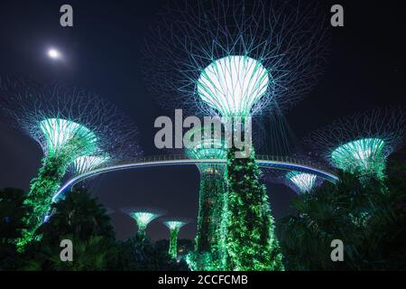 Singapore, Gardens by the Bay Foto Stock