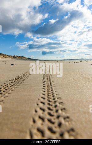 Tracce di pneumatici sulla spiaggia Foto Stock