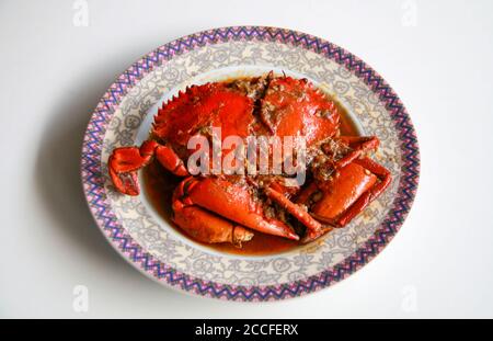 Granchio in salsa Padang o granchio Padang (indonesiano: Kepiting saus Padang) su sfondo bianco. Foto Stock