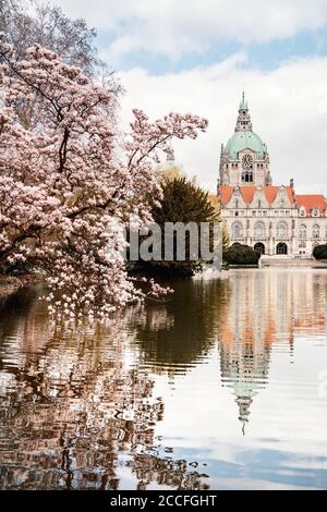 Primavera al nuovo municipio di Hannover, bassa Sassonia, Germania Foto Stock