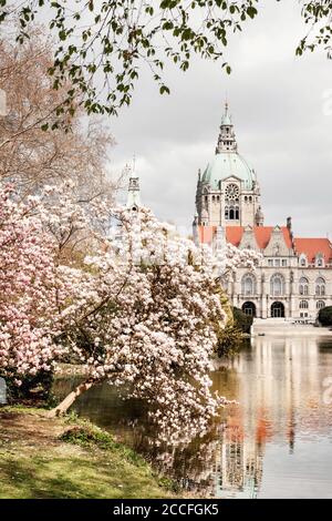 Primavera al nuovo municipio di Hannover, bassa Sassonia, Germania Foto Stock