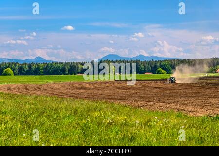 Germania, Baviera, alta Baviera, Tölzer Land, Dietramszell, Baiernrain distretto, paesaggio primaverile contro catena alpina Foto Stock